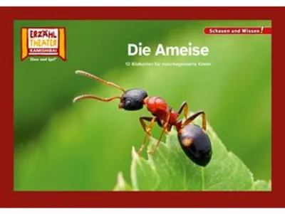 Obrázek produktu pro Die Ameise / Kamishibai Bildkarten
