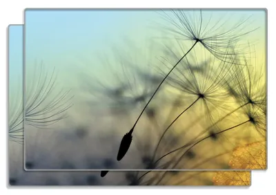 Produktbild von Wallario Frühstücksbrettchen 2er Set aus Glas, je 20 x 30 cm, mit rutschfesten Füßen, Motiv Samen der Pusteblume in Nahaufnahme vor blauem Himmel