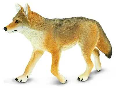 Produktbild von Safari Ltd Coyote Figur Gelb,Braun From 3 Years Kinder Gelb,Braun From 3 Years