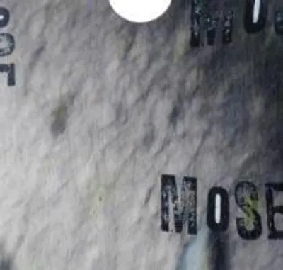 Produktbild von Mose