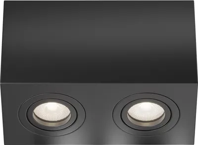 Zdjęcie produktu dla Lampa sufitowa, aluminium, 2 światła, czarna, L 20 cm