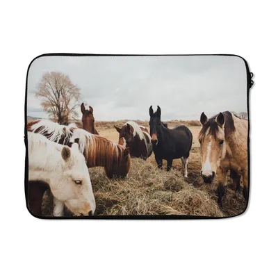 Produktbild von MuchoWow® Laptop Hülle 14 ZollTiere - Pferd Laptoptasche - Laptoptasche - Stoßsicher - Schutzhaube