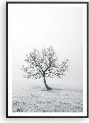 Produktbild von Gerahmtes Poster - Schwarzer Rahmen - Baum Feld Natur - 70x100 cm - Wand Bild - Wanddeko - Wandbilder - Kunstposter - Wandposter - Bilderrahmen - Bilder - Kunstdruck - Wandbild - P2BPA70x100-3683