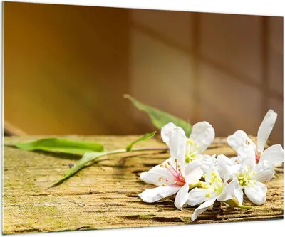 Produktbild von Bilder auf glas - Asien spa bambus blume - 100x70cm - Glasbilder - Wandbilder - Kunstdruck - zum Aufhängen bereit - Wanddekoration aus Glas - Glas Bilder - Wandbild auf Glas - GAA100x70-2499