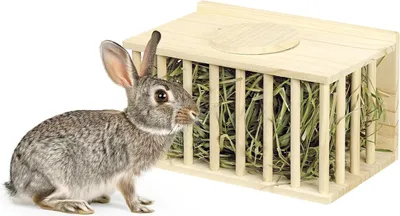 Produktbild von Hooiruif für Kaninchen aus Kiefernholz mit Schiebedeckel - Einfach zu befüllen - Heuraufe für Nagetiere - Für Kaninchenkäfig und Kaninchenstall