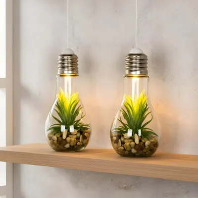 Produktbild von 2er Set LED Glühbirne Sukkulenten H19cm Grün Deko Lampe Kunstpflanze Tischdeko