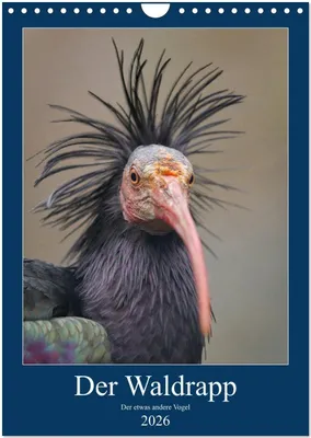 Produktbild von Der Waldrapp - Der etwas andere Vogel (Wandkalender 2026 DIN A4 hoch), CALVENDO Monatskalender