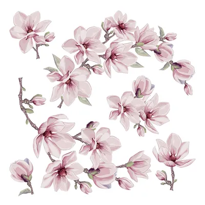 Image de Sanders & Sanders sticker mural fleurs rose 30 x 30 cm