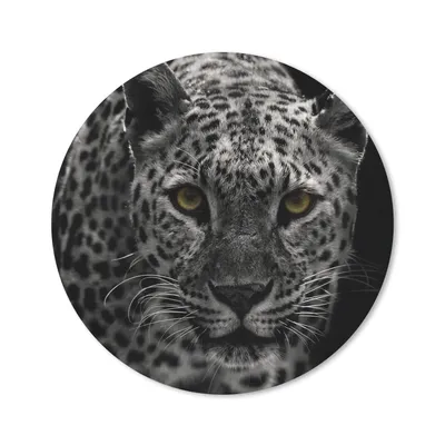 Produktbild von MuchoWow® Mauspad Mousepad Leopard - Schwarz - Weiß 30x30 cm - Mousepads - Maus Mat - Pad - Mausunterlage - Tischunterlage - Schreibtischmatten