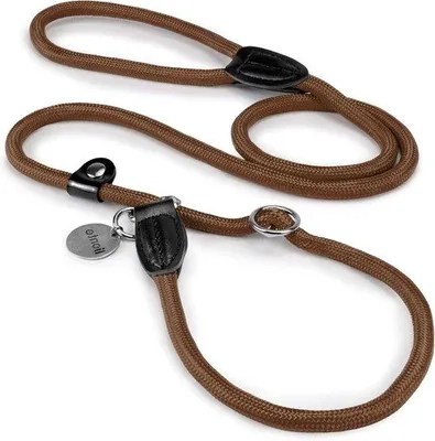 Image de Hundenriem laisse de dressage avec cordon - 170 cm - Marron