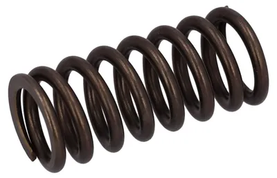 Produktbild von FEBI BILSTEIN Ventilfeder 187748 für DAF CF 0,059kg