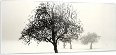 Produktbild von Bilder auf glas - Einteilig - Bäume Schnee Nebel - 100x40cm - Glasbilder - Wandbilder - Bilder - zum Aufhängen bereit - Wanddekoration aus Glas - Glas Bilder - Wandbild auf Glas - GAB100x40-4136