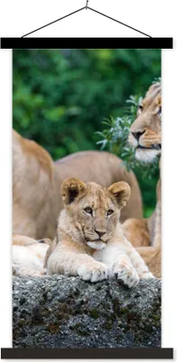 Produktbild von MuchoWow® Textilposter Löwen - Tiere - Jungtiere 60x120 cm mit schwarzem Rahmen - Magnete