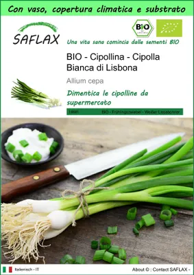 Immagine prodotto di SAFLAX Garden to go - BIO - Cipollina - Cipolla Bianca di Lisbona  - 150 semi - Allium