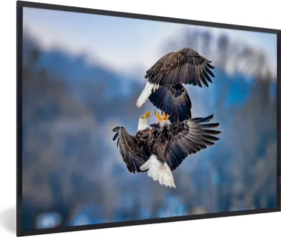 Produktbild von MuchoWow® MuchoWow® Gerahmtes Poster Adler - Vogel - Himmel 90x60 cm - Poster mit zchwarzem Bilderrahmen - Fotorahmen - Foto-Plakat