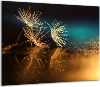 Obrázek produktu pro Kryt varné desky Skleněný kryt varné desky Splashback 60x52cm Květiny