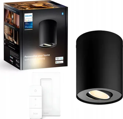 Image de Philips Hue White Amb. Pillar Spot 1 flg. noir 350lm DS