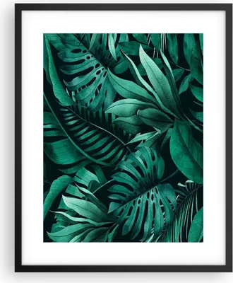 Produktbild von Gerahmtes Poster - Schwarzer Rahmen - Blätter Grafiken Monstera - 40x50 cm - Wand Bild - Wanddeko - Wandbilder - Kunstposter - Wandposter - Bilderrahmen - Bilder - Kunstdruck - P2BPA40x50-4886