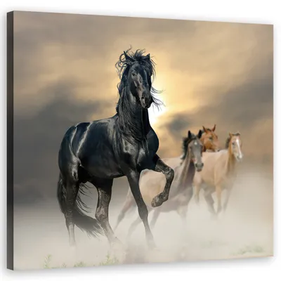Produktbild von Leinwandbild Eine Pferdeherde für das Wohnzimmer 30x30 Feeby Schwarz bild für die wand bereit zum aufhängen