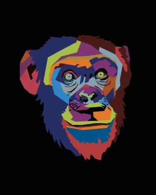 Produktbild von Zuty - Malen nach Zahlen - ABSTRAKTER POP-ART-AFFE AUF SCHWARZEM HINTERGRUND, 40x50 cm, ohne Keilrahmen