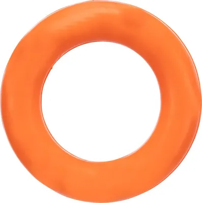 Produktbild von TRIXIE Ring Dog  Toy