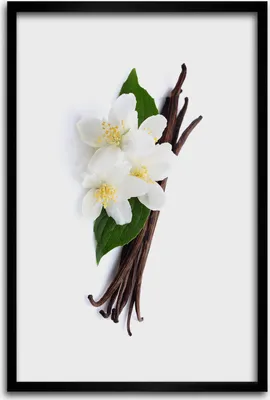 Produktbild von Bild - Bilderrahmen - 40 cm x 60 cm - MDF - Rahmen - Wandkunst - Jasmin und Vanille