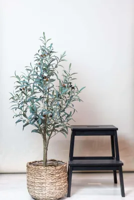 Produktbild von Umelá rastlina Olea Europaea olivovník 115 cm - ľahko udržiavateľný a vždyzelený stromček pre váš domov