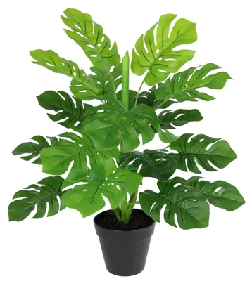 Image de Plante artificielle Monstera en pot, 46 cm. Plante artificielle Splitphilum, plante à feuilles