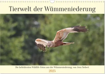 Produktbild von Tierwelt der Wümmeniederung (Wandkalender 2025 DIN A3 quer), CALVENDO Monatskalender