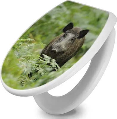 Produktbild von banjado Toilettendeckel mit Absenkautomatik 37,3x45x5cm -Wildschwein - WC Brille Soft Close - hygienischer Toilettendeckel/Klodeckel Duroplast mit Edelstahl Scharnieren - einfache Montage [TDW 10495]