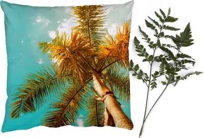 Produktbild von MuchoWow® Zierkissen Sofakissen Wohnzimmer Dekokissen 45x45 cm Palme - Sommer - Tropisch - Schlafpolster - Polster für das Sofa