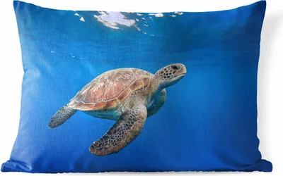 Produktbild von MuchoWow® Outdoor Kissen - Schildkröte im Ozean - 60x40 cm - Wetterfest - Lounge Kissen - Zierkissen - Kissen für Innenräume