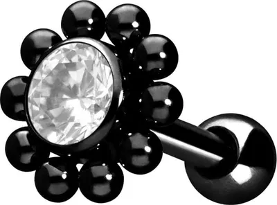 Produktbild von Ohrpiercing Chirurgenstahl Ohrpiercing KRISTALL + KUGELKREIS