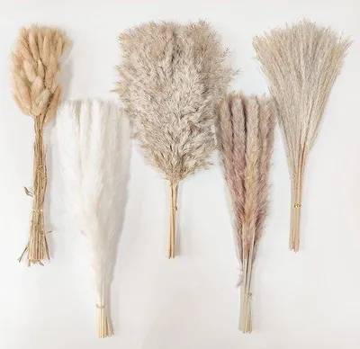 Produktbild von Famanu Pampasgras Trockenblumen, 115 Stück, Naturdeko für Boho-Style, Wohnzimmer, Tischdekoration, Hochzeit