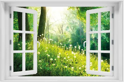 Produktbild von Wallario Wandbild mit Fenster-Illusion: Pusteblumen im Wald mit einfallenden Sonnenstrahlen, Größe: 61 x 91,5 cm, Poster mit weißem Aluminiumrahmen