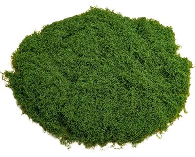 Produktbild von Isländisches Moos für Bastelprojekte, 50 g natürlich konserviert, künstliche Dekoration, wiederverwendbare Moosplatten für schöne Weihnachtsdekorationen oder Blumenarrangements.
