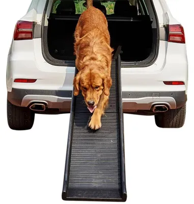 Image de Escalier pliable pour chiens, antidérapant, jusqu'à 90 kg
