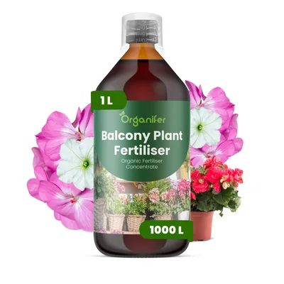 Produktbild von Flüssigdünger für Balkonpflanzen 1L – 2-1-8 NPK – Flüssigdünger Für Blüh- & Grünpflanzen – Für Üppige Blüten & Blätter – Organifer