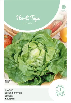 Productafbeelding van Kopslasoort Appia | Kopslasalade van Hortitops