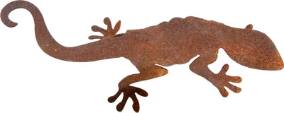 Produktbild von Salamander, ca. 20 x 10 cm