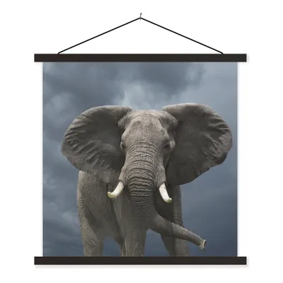 Produktbild von MuchoWow® Textilposter Elefant - Wolken - Tiere - Natur 60x60 cm mit schwarzem Rahmen - Posteraufhänger