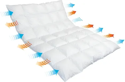 Produktbild von Traumina Breeze Daune Duo-Einziehdecke WK 4 Größe 200x220 cm