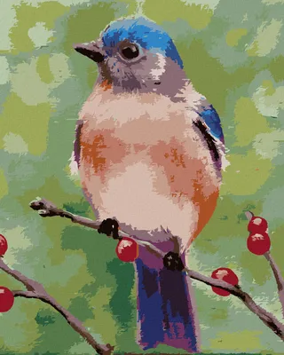 Produktbild von Zuty - Malen nach Zahlen - BLAUER VÖGELCHEN AUF EINEM ZWEIG (MYROSLAVA VOLOSCHUK), 40x50 cm, ohne Keilrahmen