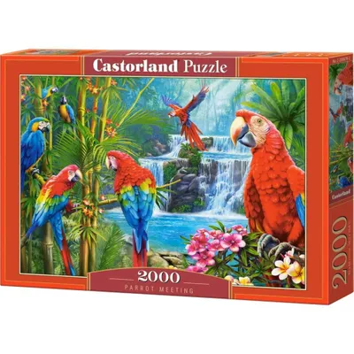 Produktbild von Castorland-Puzzle mit 2000 Teilen – bunte Papageien