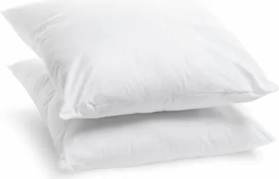 Image de Bleu Calin Lot de 2 Oreillers 60x60cm Moelleux Anti-transpiration Topcool