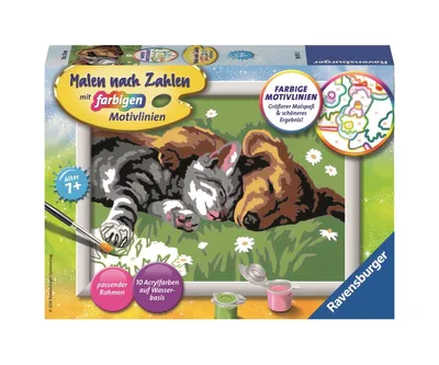 Obrázok produktu pre Ravensburger Tiefer Schlaf, 1 strany, Obrazy v balení, Chlapec / dievča, Súprava farieb s číslami