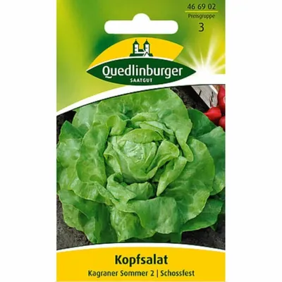 Immagine prodotto di Quedlinburger Saatgut - Lattuga Kagraner Sommer 2 - Semi - 466902