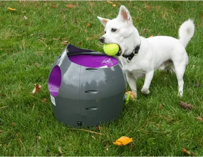 Produktbild von PetSafe Automatischer Ballwerfer für Haustiere 9 m Grau und Lila
