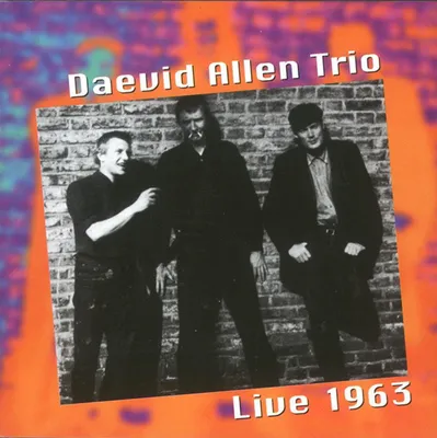 Produktbild von Allen,Daevid Trio-Live 1963