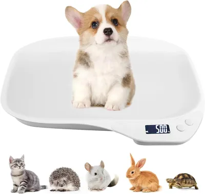 Obrázek produktu pro Váha pro malá domácí zvířata – digitální přesná váha s rozlišením 1 g – nosnost 15 kg – váha pro domácí zvířata s LCD displejem a 3 režimy vážení – lze použít i jako kuchyňskou váhu